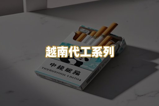 越南代工系列